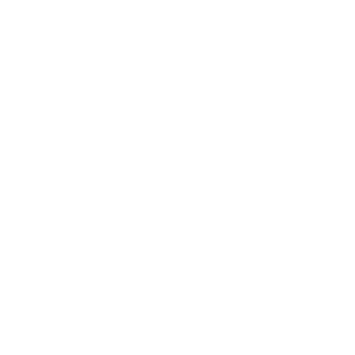 Wellness and Fitness Consultations Icon